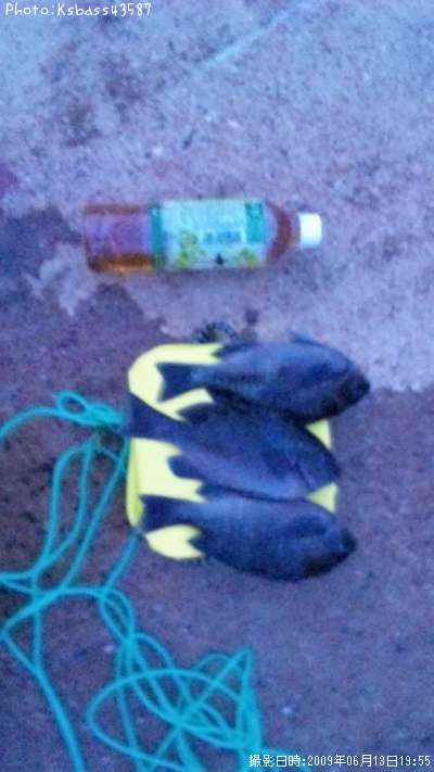 ����ʥ᥸�ʡ�