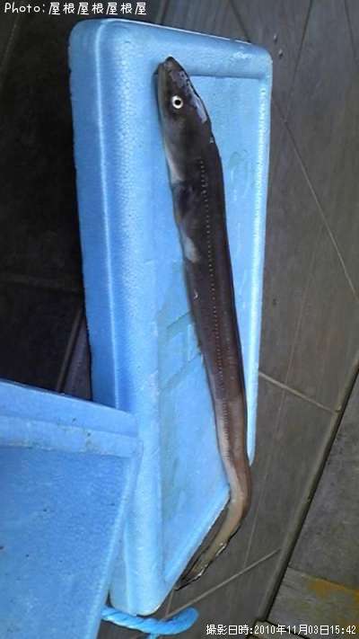 �������ʥ�