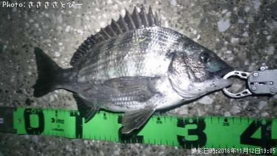 ������������������Х�