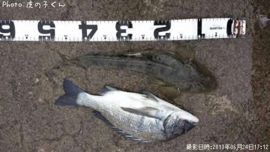 �����������ޥ���