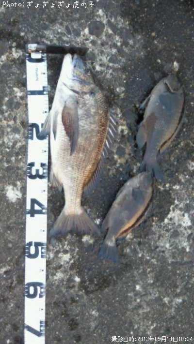 �����������᥸��