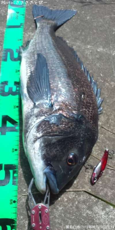 ���������������Х�