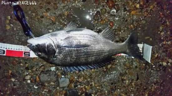 ���������������Х�