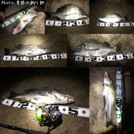 ���������������Х�