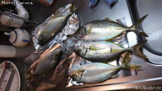 �������������ޤ���