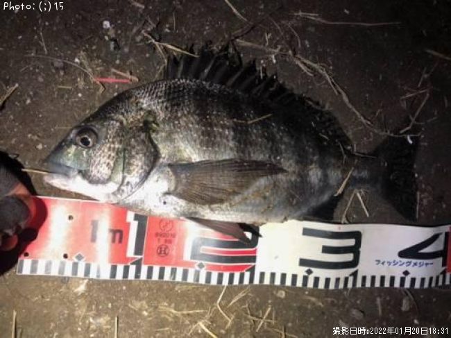 ��������������