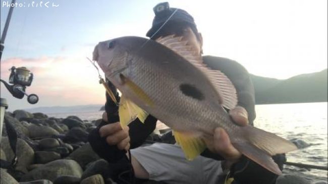 �����ۥ��ե�����