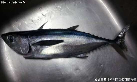 �����ޥ���