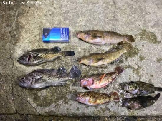 ���������������ʥᡡ��Х�