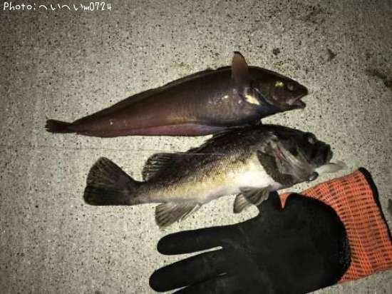 �����������ɥ�