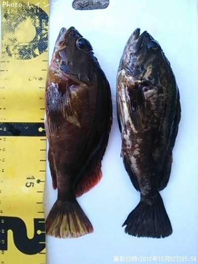 ����������������