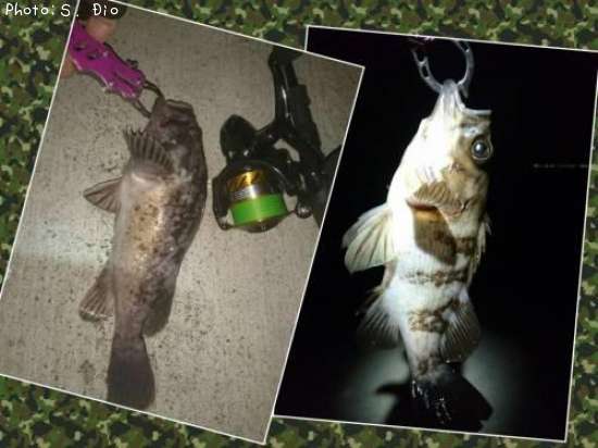 ������������Х�