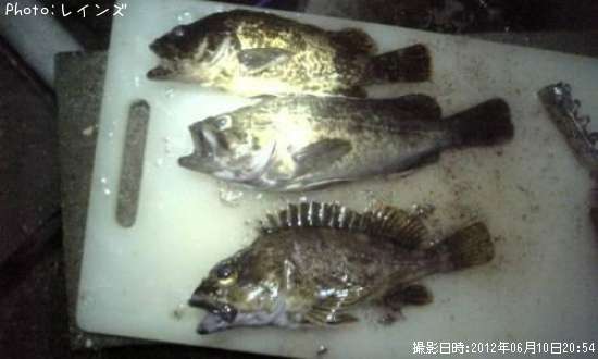 ���������������Υ���������