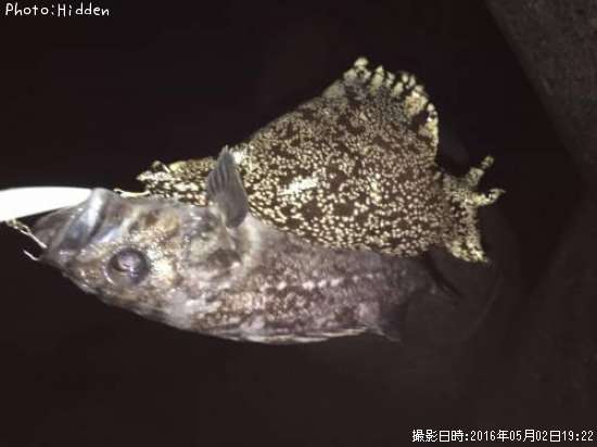 ���������ȥ��ߥ���