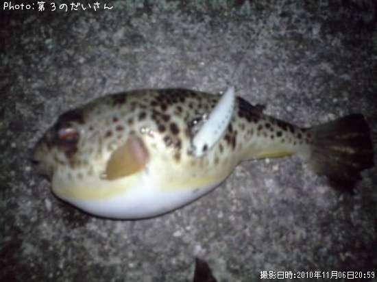 �����ե�