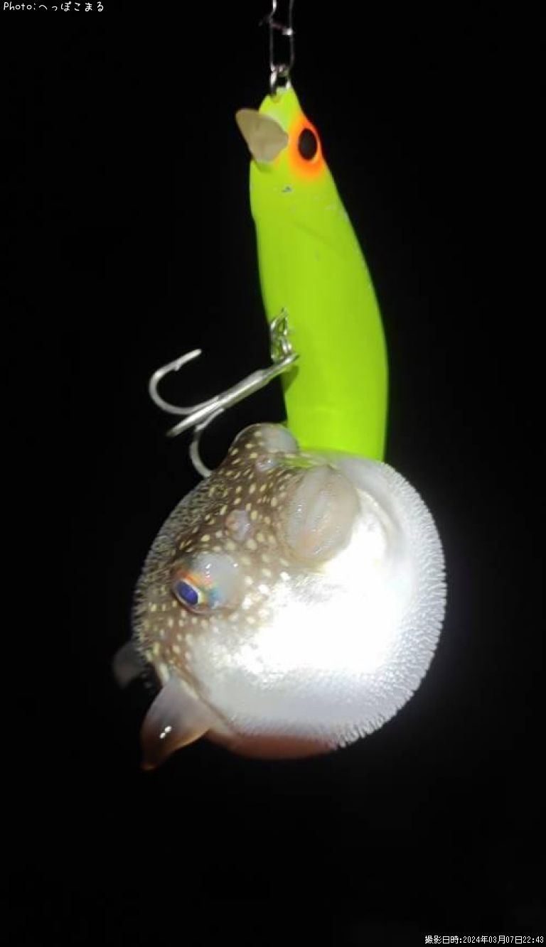 �����ե�