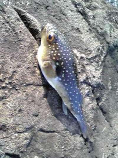 �����ե�