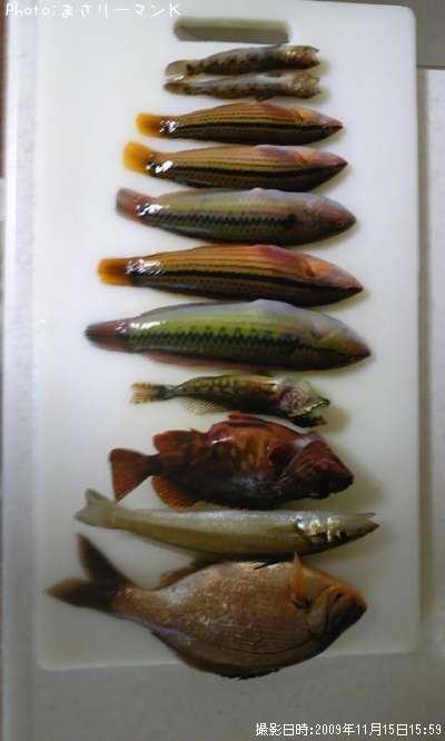 ���奦����٥�