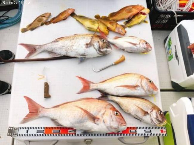 �ޥ���������������ꥤ��