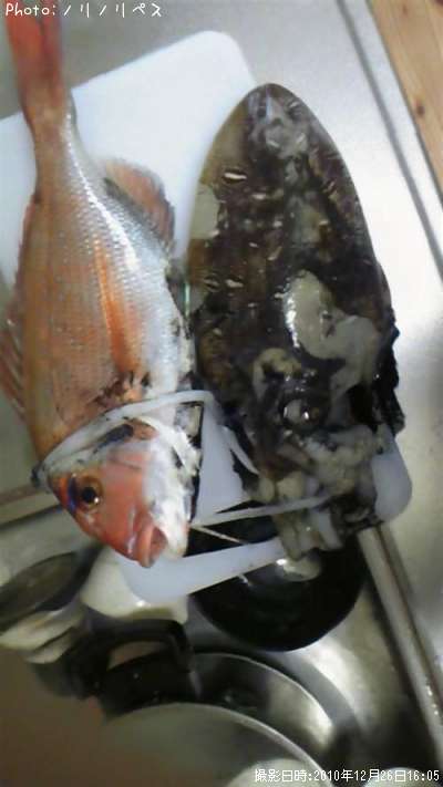 �ޥ������ܥϥ��ϥ�