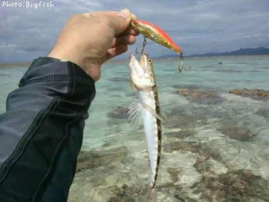 �ޥ��饨��