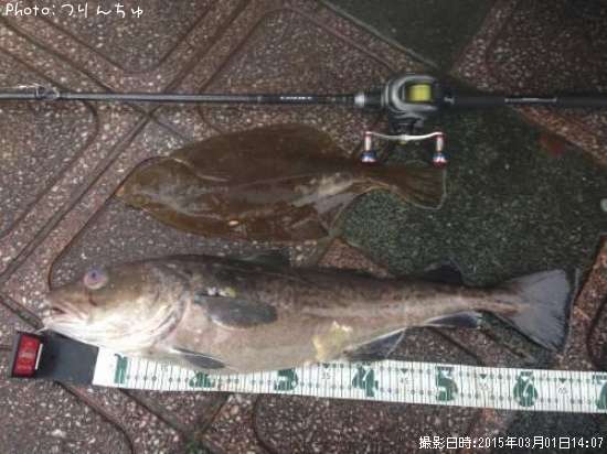 �ޥ���ȥ������쥤