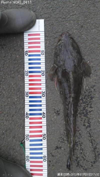 �ޥ�����