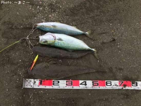 �ޥ������������ʥ�����