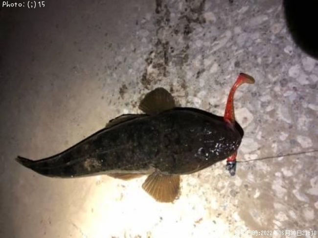 �ޥ��������ӥ졢���ʥ�