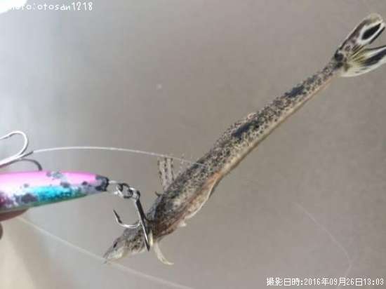 �ޥ������֤����