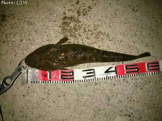 �ޥ����������Х����ܥ顢����������