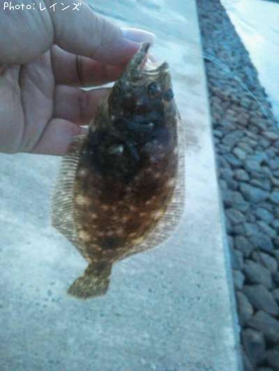 �ޥ���������