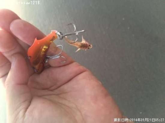 �ޥ���������