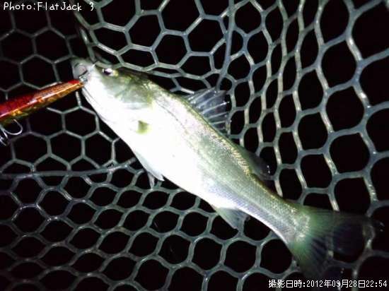 �ޥ����������Х�