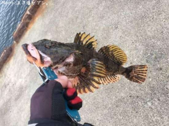 �ޥ�����