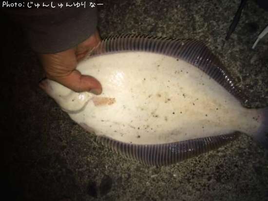 �ޥ����쥤