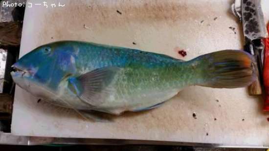 �ޥ��֡����ޥ�