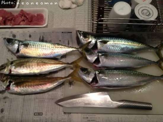 �ޥ륢��������