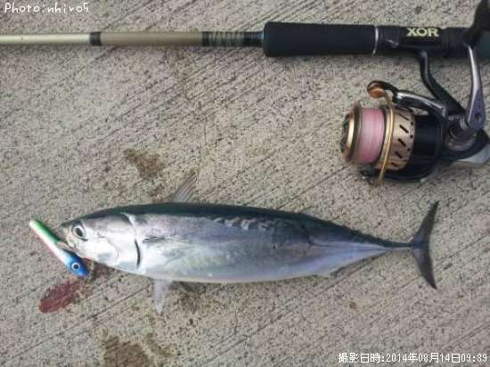 �ޥ륽����