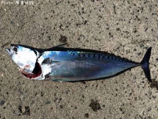 �ޥ륽�������ĥ�