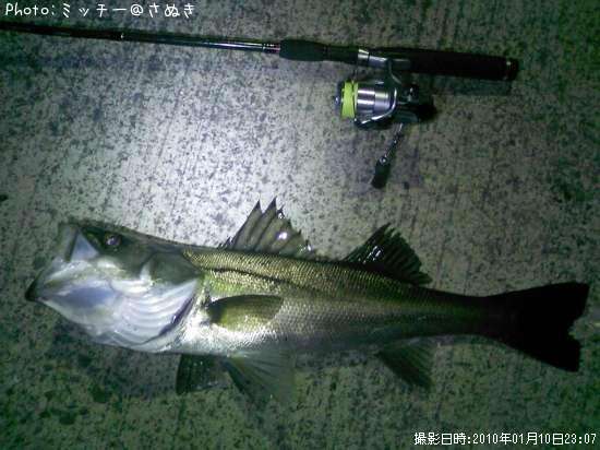 �ޥ륹����