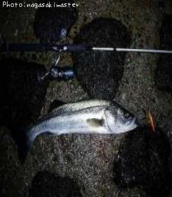 �ޥ륹����