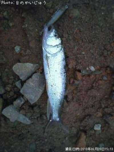 �ޥ���