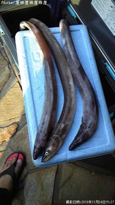 �ޤ��ʾС˥��ʥ�������