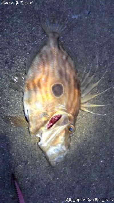 �ޥȥ�����