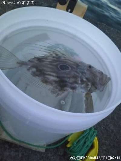 �ޥȥ�����