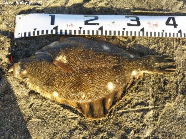 �ޥĥ��參�쥤