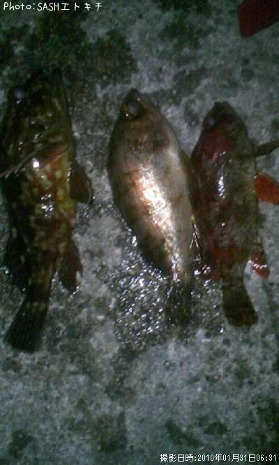 ��С������������