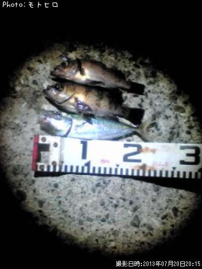 ��Ф������