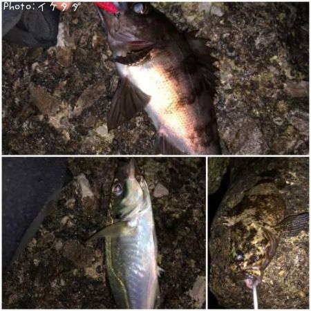 ��Х롡����������